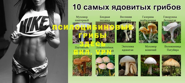 кокаин VHQ Алексеевка