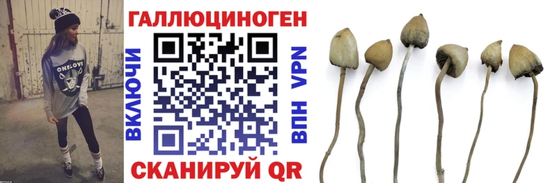 купить наркотик Кореновск ссылка на мегу ONION Галлюциногенные грибы Psilocybe